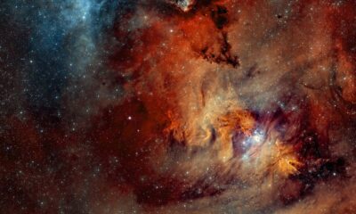 Manchester Evening News