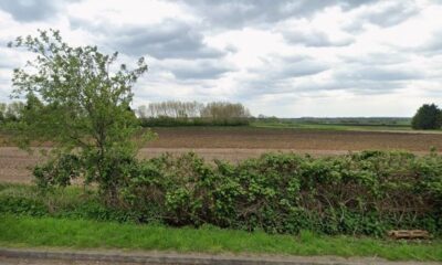 Plans could see 90 new homes built in Cambridgeshire village