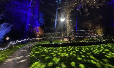 Margam Park's spectacular Luminate Christmas light trail is back and this is what's new in 2025