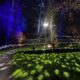Margam Park's spectacular Luminate Christmas light trail is back and this is what's new in 2025