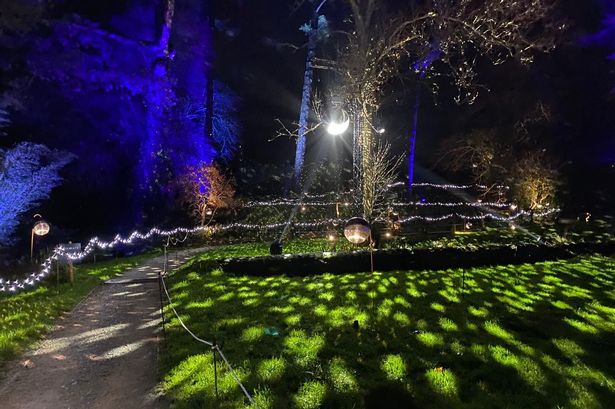 Margam Park's spectacular Luminate Christmas light trail is back and this is what's new in 2025