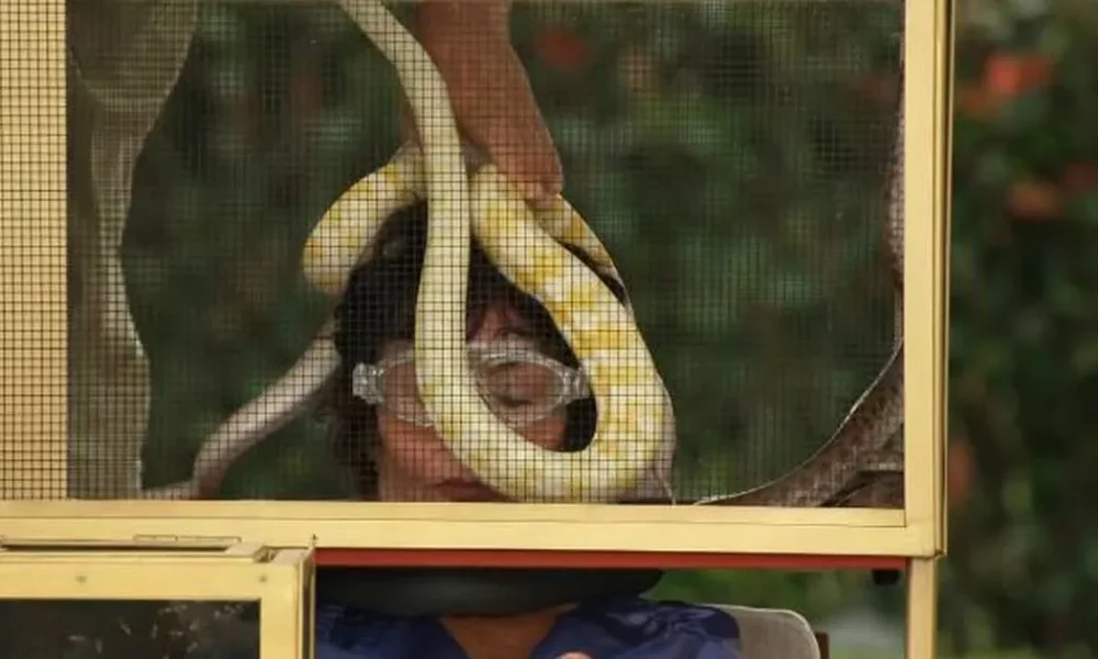 Ruby Wax's appearance leaves I'm A Celebrity fans concerned after just one episode