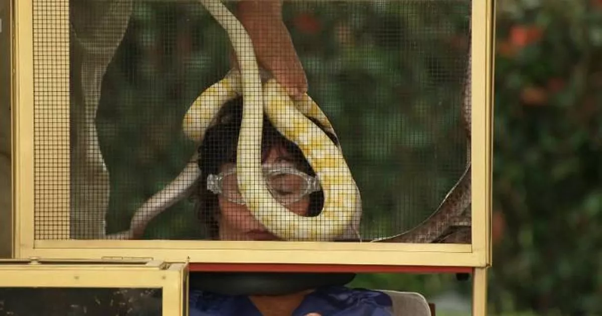 Ruby Wax's appearance leaves I'm A Celebrity fans concerned after just one episode