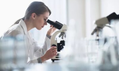 UK firms spending more on research and development shows new ONS figures