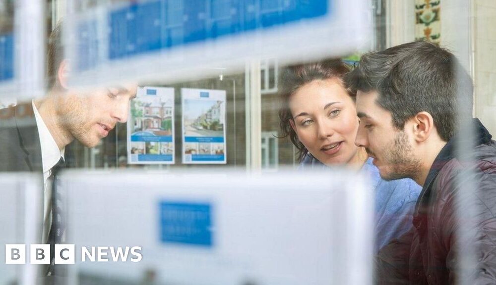 What is it and how much is it?