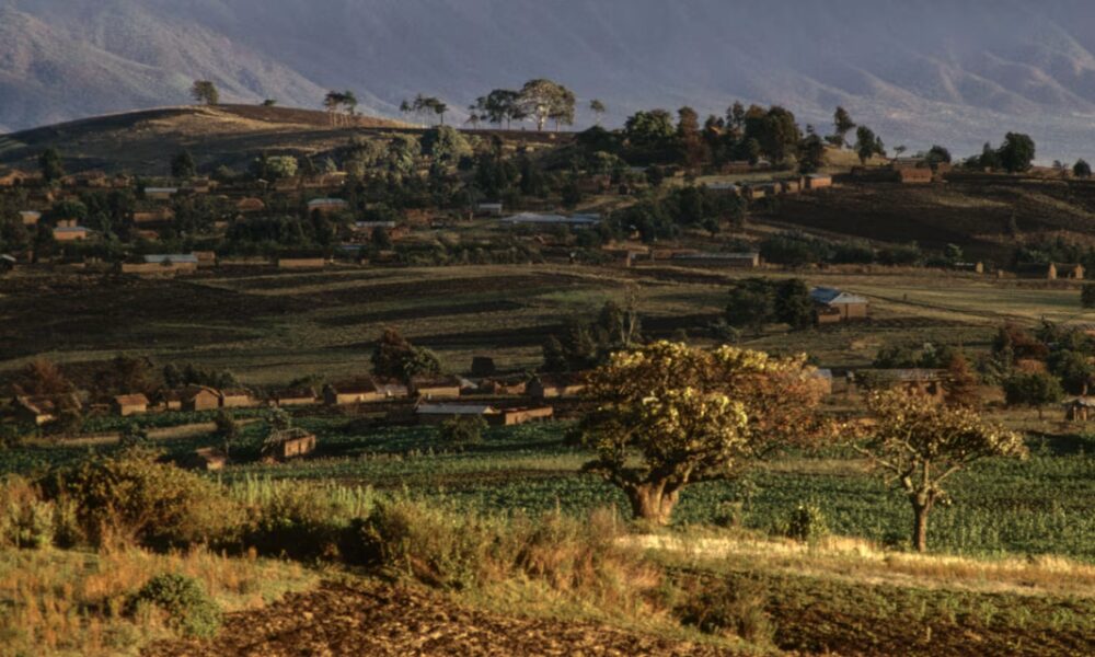 The Failed Crusade to Keep a Rare-Earths Mine Out of China’s Hands