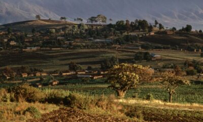 The Failed Crusade to Keep a Rare-Earths Mine Out of China’s Hands