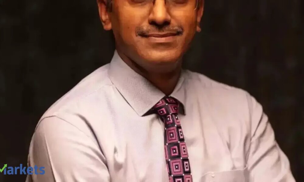 Earnings revival likely in 2026, time to build domestic-focused portfolios: Sridhar Sivaram