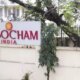 Single window systems in WB, Odisha, Andhra, 5 yr tax holiday for startups in Bihar: Assocham