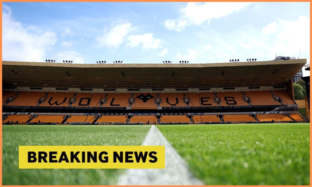Wolves breaking news