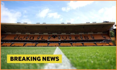 Wolves breaking news