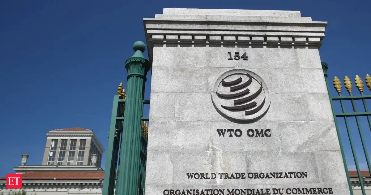 Tariffs on copper are not safeguard measures: US on India's claim in WTO