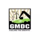 GMDC shares rise for third straight session, up 7% on government rare earth incentive