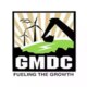 GMDC shares snap 3-day rally, fall 2% as traders opt to book profits