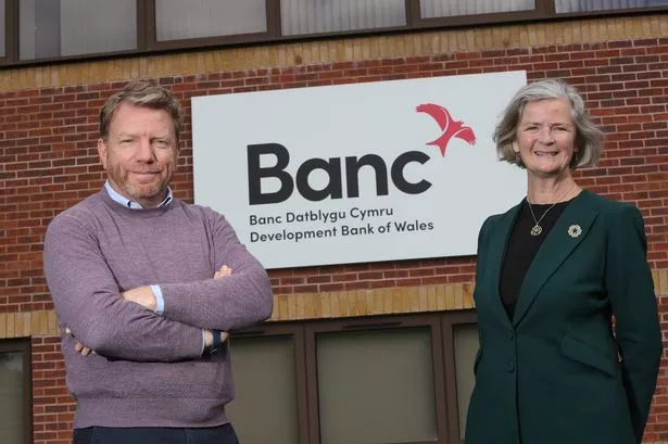 Development Bank of Wales is failing to match the ambition of our entrepreneurs