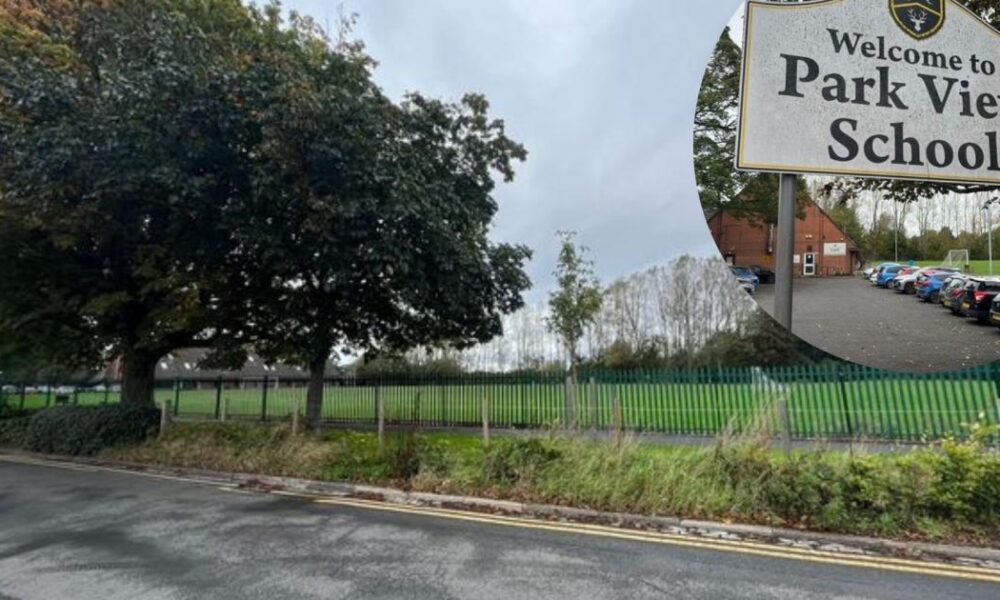 Park View school Chester-le-Street plan for artificial pitch