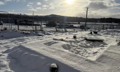 Scotland's snow in pictures as country transforms into winter wonderland