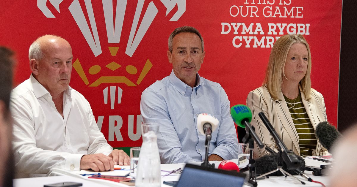 Dragons owners walk out of meeting with WRU after 10 minutes as relations at breaking point