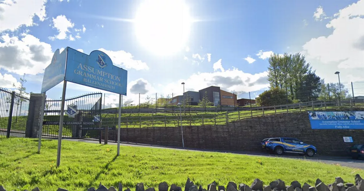 Concerns NI grammar school misled EA investigation regarding safari payment