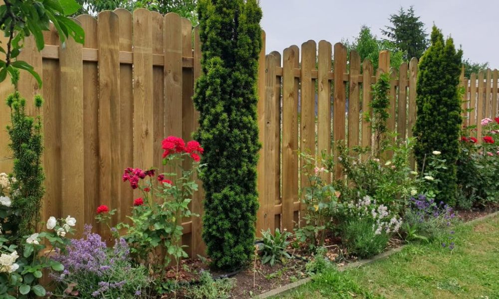 People urged to make gap in garden fence to help hedgehogs