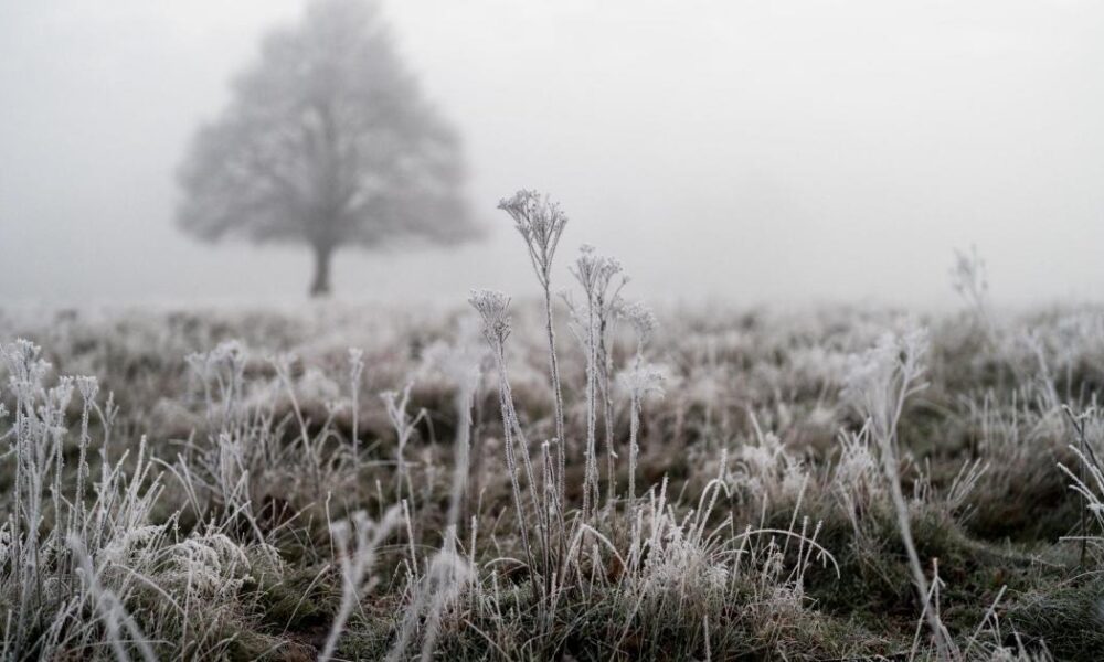 Ice warning from Met Office over injuries and disruption