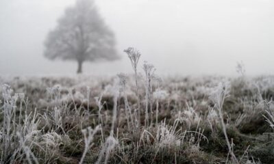 Ice warning from Met Office over injuries and disruption
