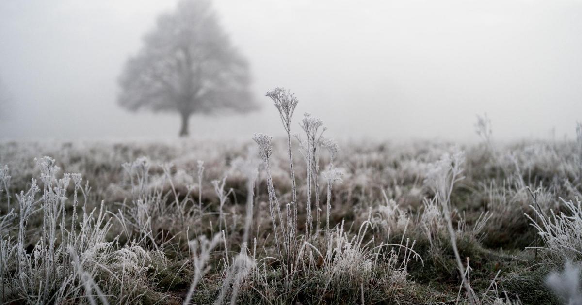 Ice warning from Met Office over injuries and disruption
