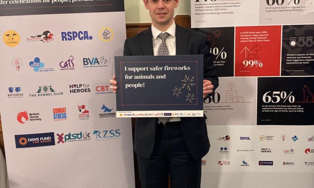 Bolton MP backs firework legislation after 'horror stories'