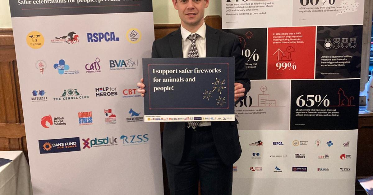 Bolton MP backs firework legislation after 'horror stories'