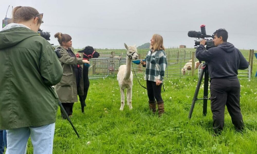 TV-famous Beacon Farm in Yorkshire opens holiday let