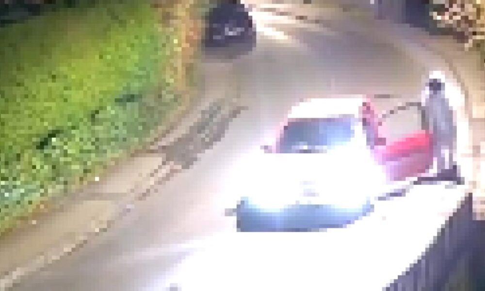 WATCH the  chase by two men with machetes that brought 'terror to community'