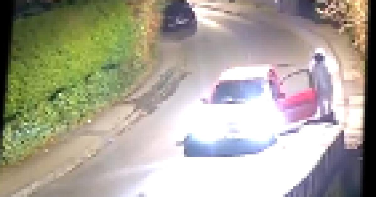 WATCH the  chase by two men with machetes that brought 'terror to community'