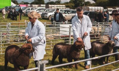 Former IT boss Phil Tottie elected chairman of Tockwith Show
