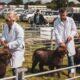 Former IT boss Phil Tottie elected chairman of Tockwith Show
