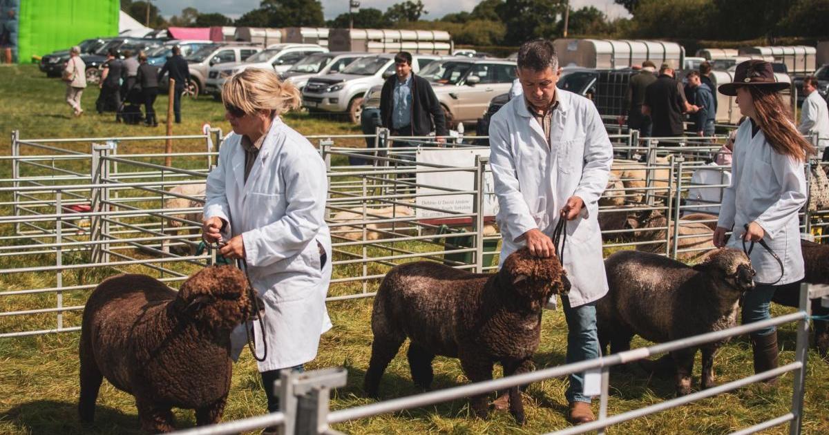 Former IT boss Phil Tottie elected chairman of Tockwith Show