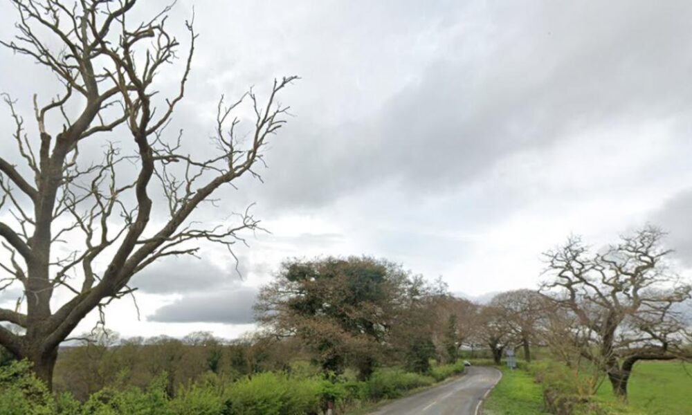 What we know so far about crash which closed Cocken Road