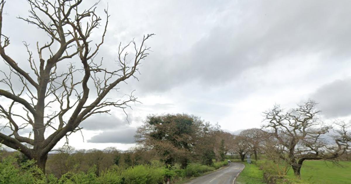 What we know so far about crash which closed Cocken Road