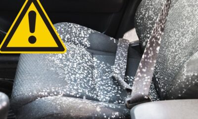 Drivers need to remove these 7 items from their car now