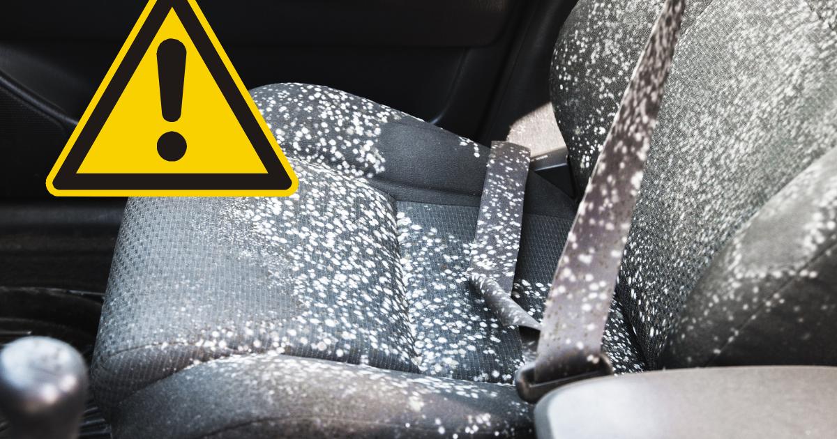 Drivers need to remove these 7 items from their car now