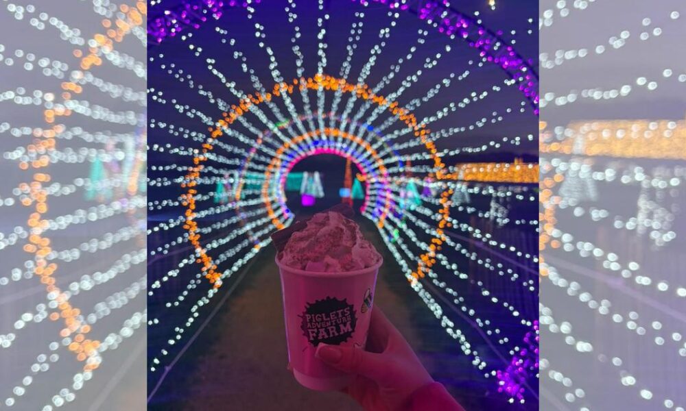 Farmer Ed's Enchanted Light Trail launches at Piglets Farm