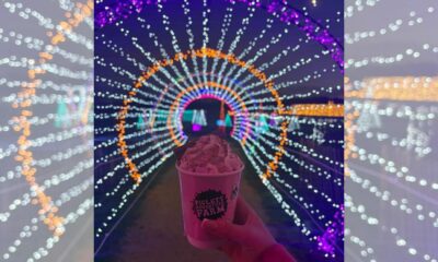 Farmer Ed's Enchanted Light Trail launches at Piglets Farm