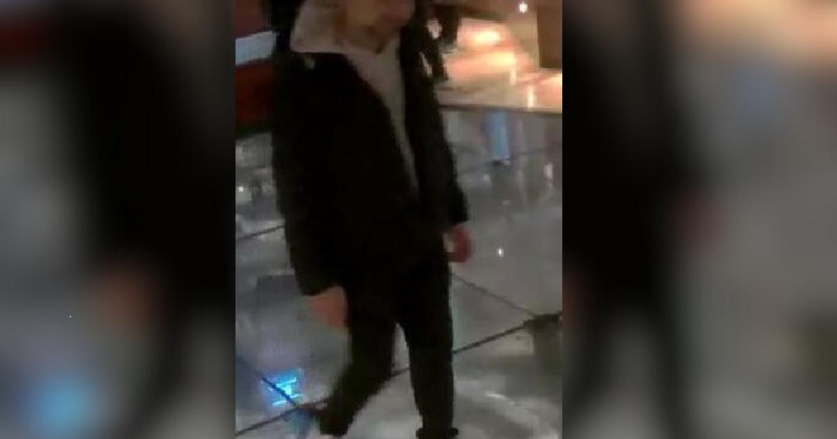 Child 'assaulted' at Jorvik Viking Centre, York - police