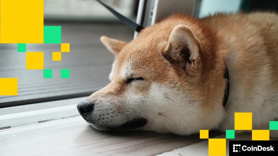 Dogecoin Beats the Blue Chips as D.O.G.E Calls it Quits