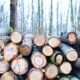 Yorkshire timber group with 1,150 employees across the UK calls in administrators