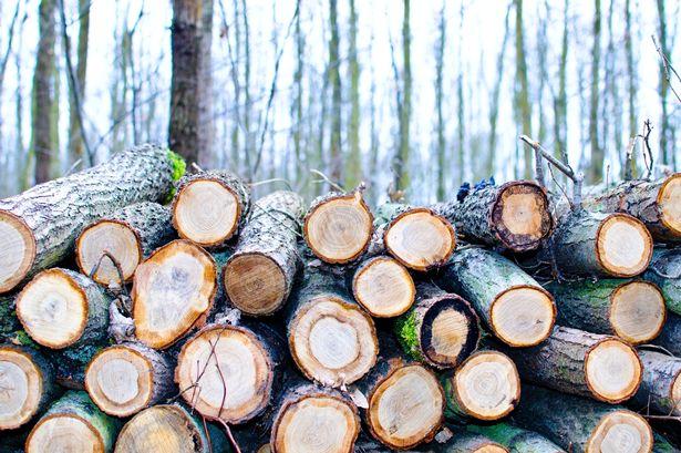 Yorkshire timber group with 1,150 employees across the UK calls in administrators