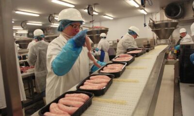 Humber supermarket supplier Cranswick sees sales and profits rise after making meaty investments