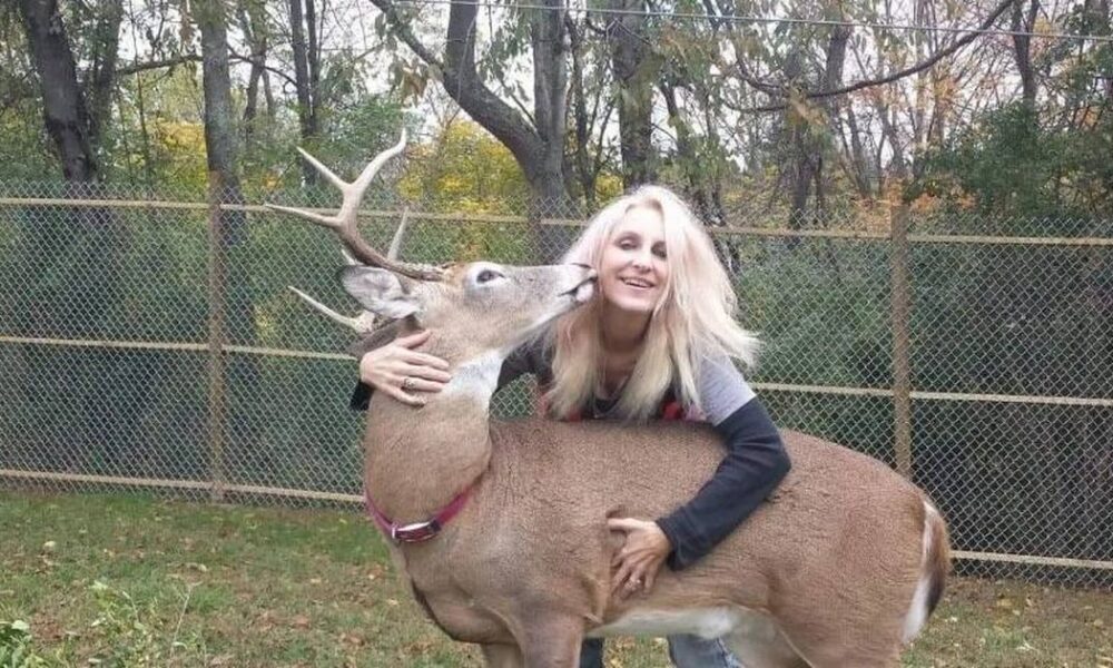 Tragedy as grandma mauled to death by deer she rescued and tried to domesticate