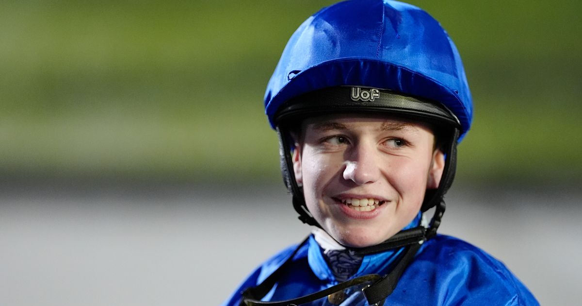 Newsboy's horse racing selections for Wednesday's four meetings, including Kempton Nap