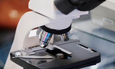 What Makes Ligand Pharmaceuticals (LGND) an Investment Choice?