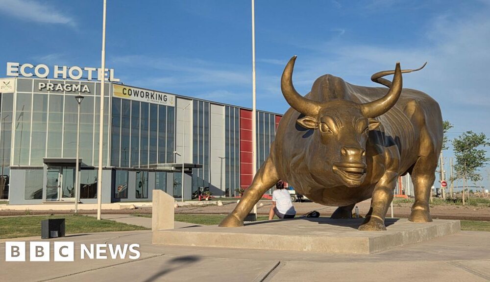 Fracking transforms an Argentine town but what about the nation?